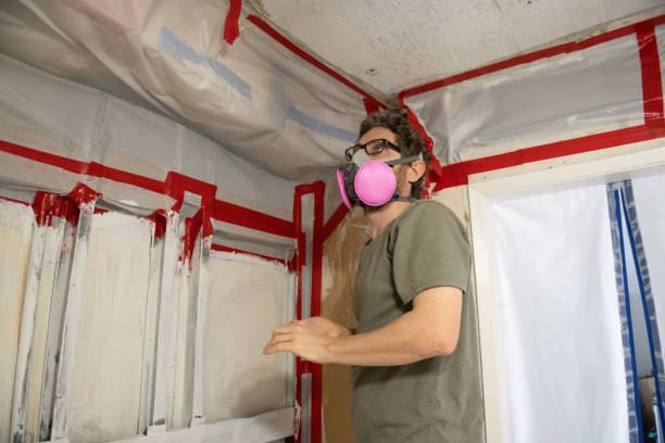 Trusted Lincoln, AL Mold Removal Experts